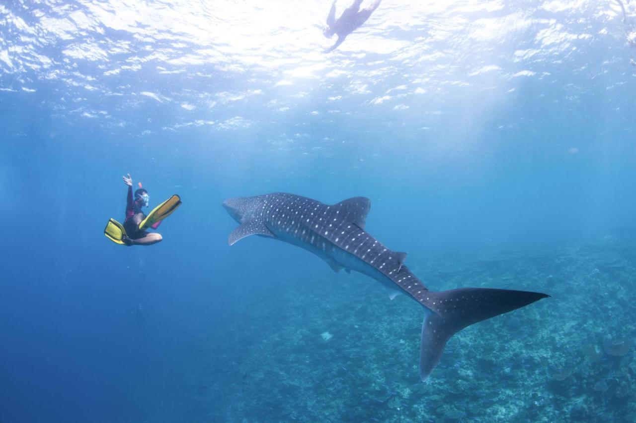 Complex Radisson Blu Maldives With 50 Percent Off On Sea Plane Round Trip 03 Nights & Above