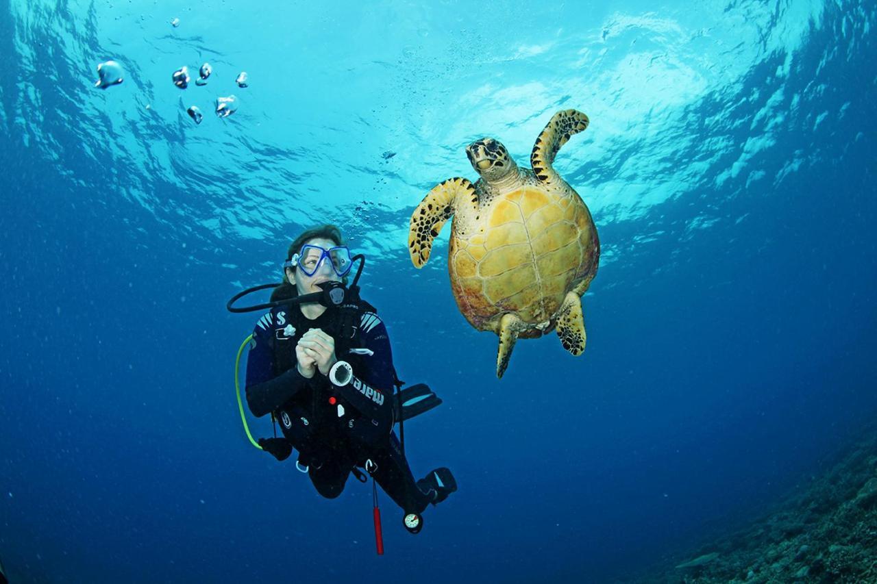 Complex Radisson Blu Maldives With 50 Percent Off On Sea Plane Round Trip 03 Nights & Above 5*